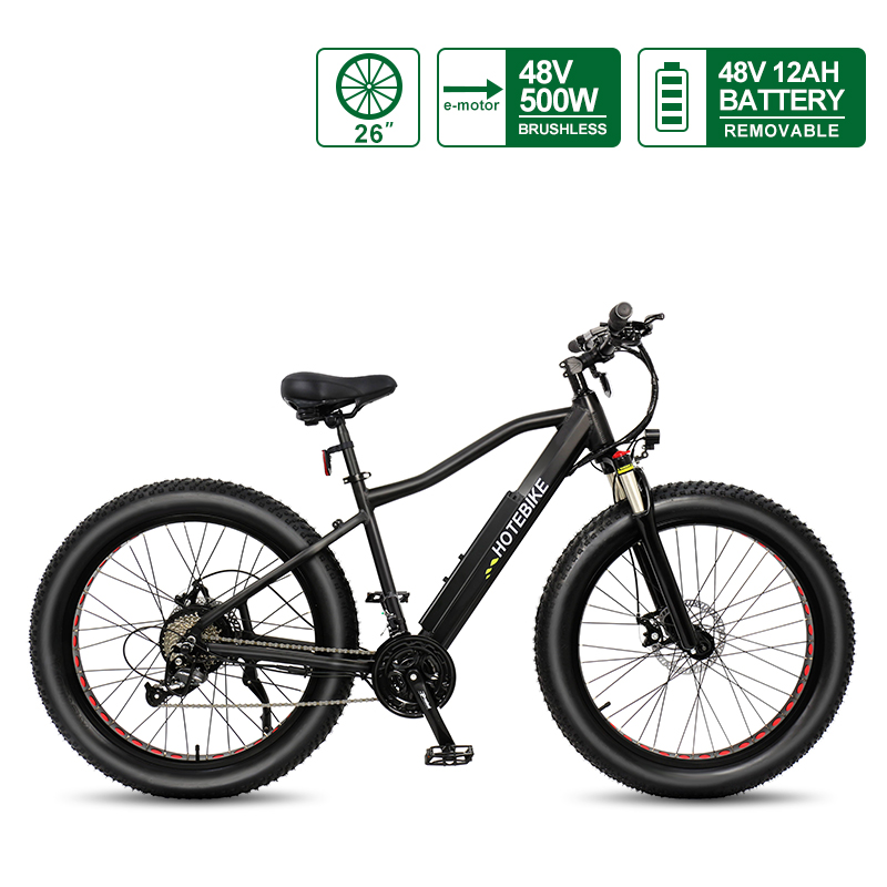TOP 5 migliori bici elettriche che possono utilizzare la stessa batteria della serie HOTEBIKE - News - 5