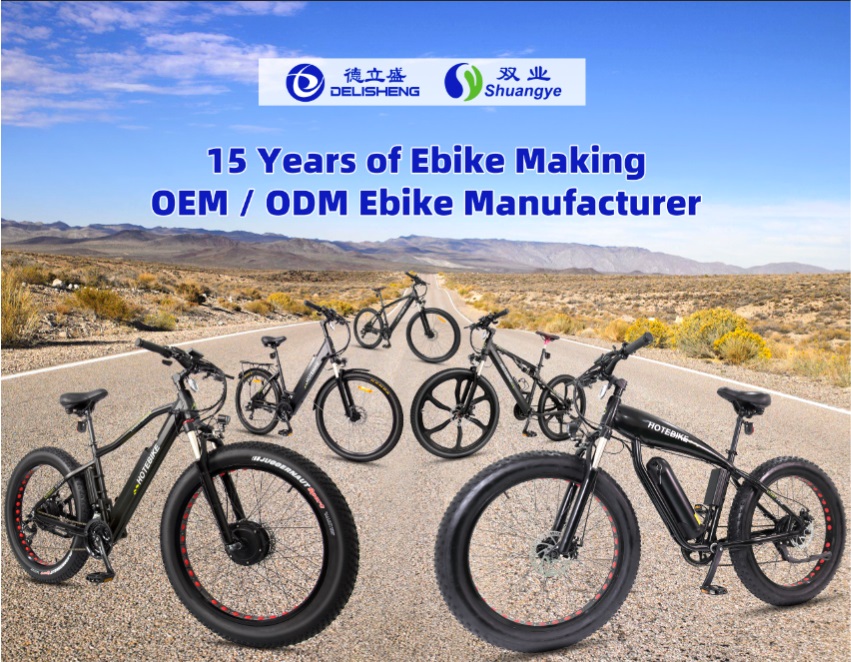 Organizzazione del lavoro delle E-bike HOTEBIKE durante le vacanze del Capodanno Lunare 1 Organizzazione del lavoro delle E-bike HOTEBIKE durante le vacanze del Capodanno Lunare - News - 1