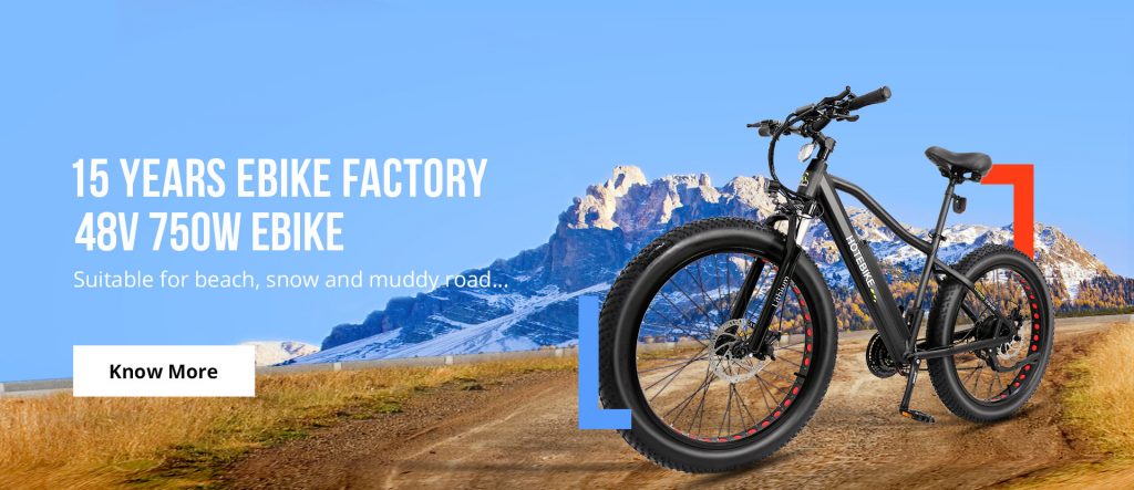Come Scegliere una Bici Elettrica? - News - 3